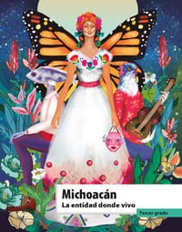 Michoacan la entidad donde vivo tercer grado