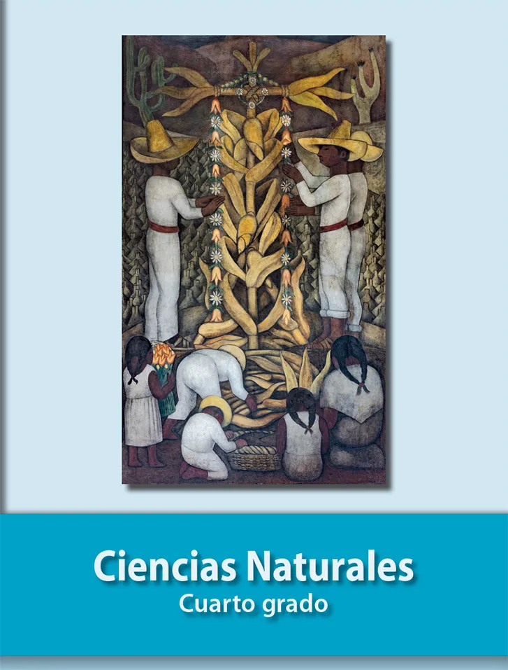 Descarga el Libro de Ciencias Naturales Cuarto Grado en PDF