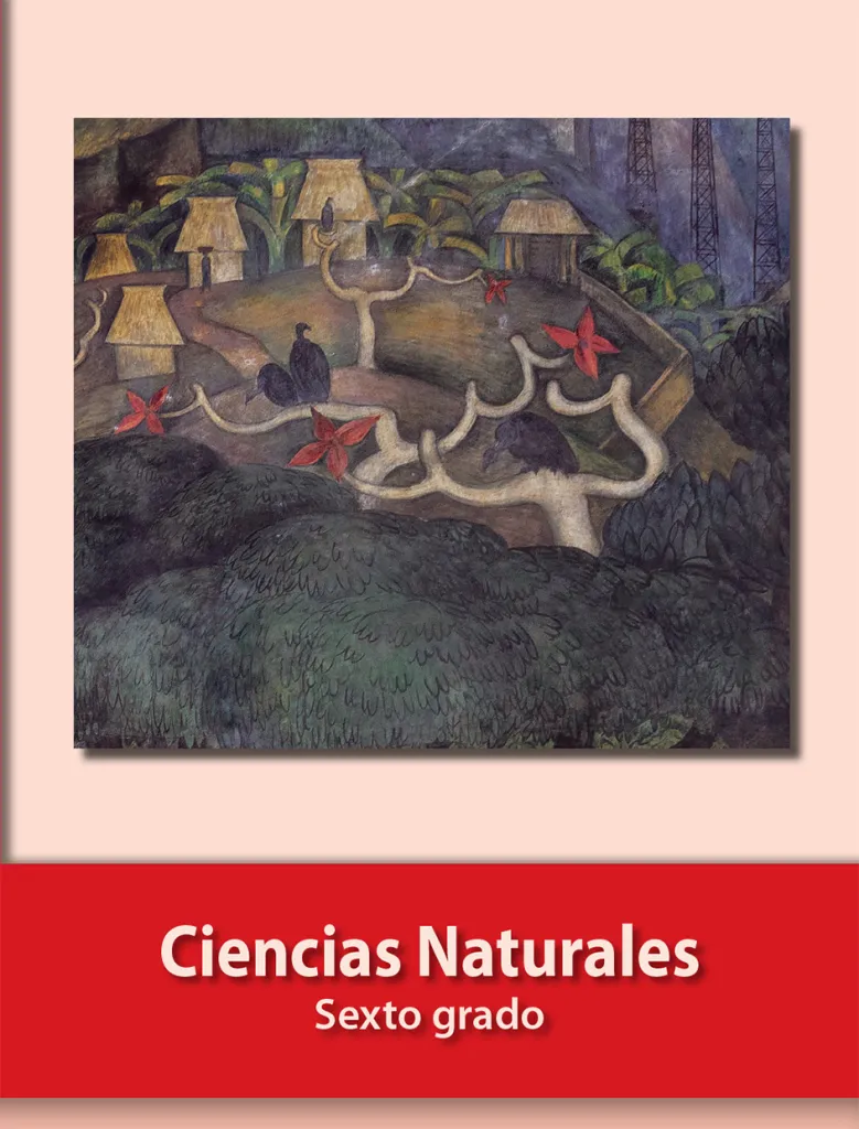 Libro de Ciencias Naturales Sexto Grado para Descargar PDF