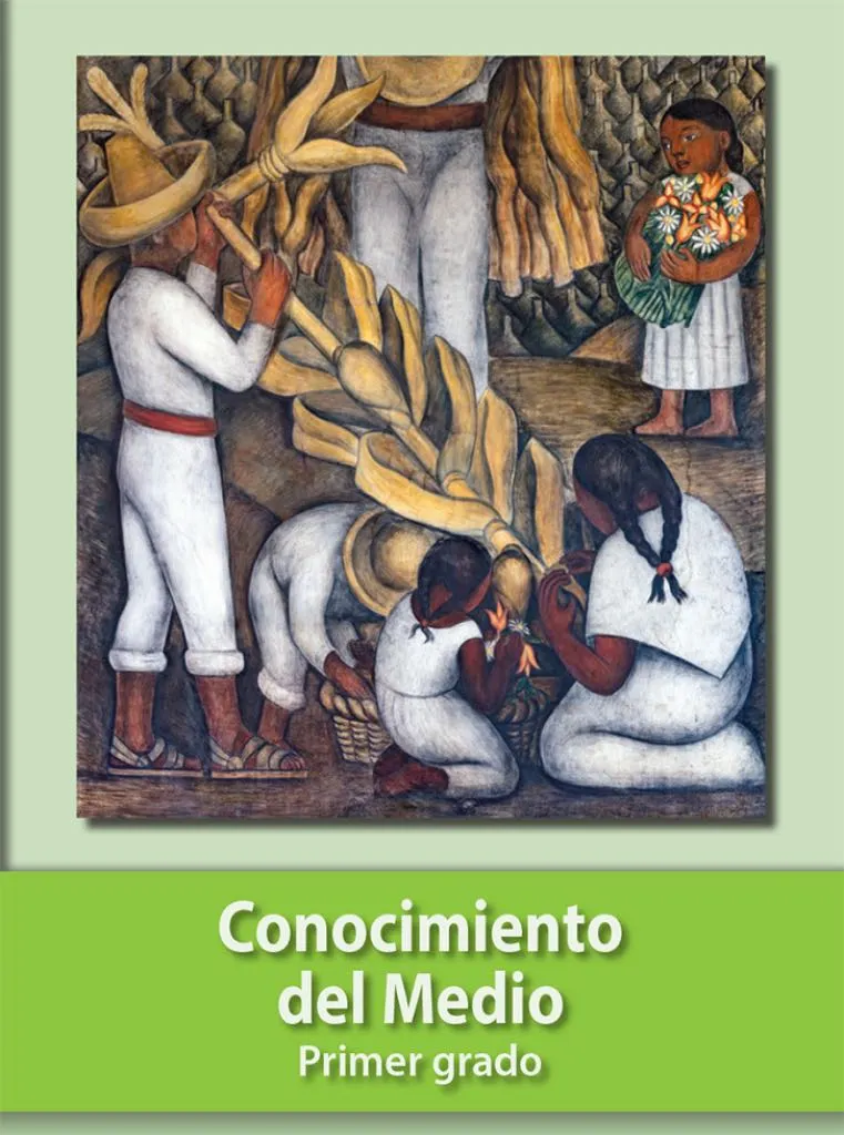 Libro de Conocimiento del Medio Primer Grado para Descargar PDF